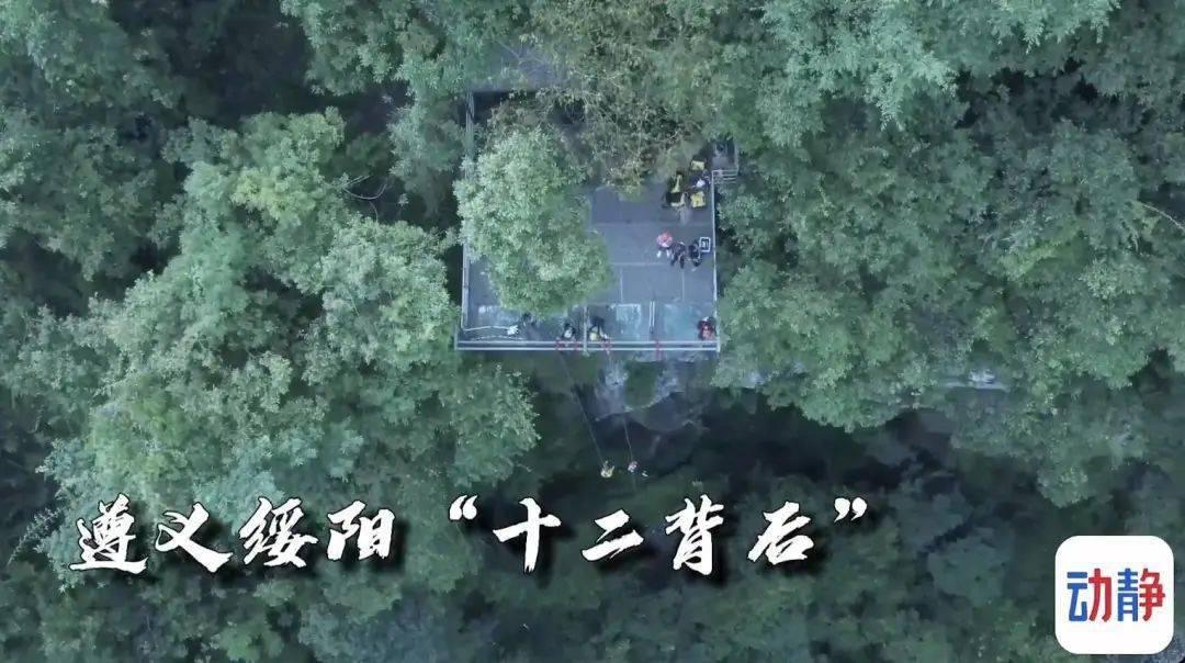 读懂“桑基鱼塘”的农业智慧