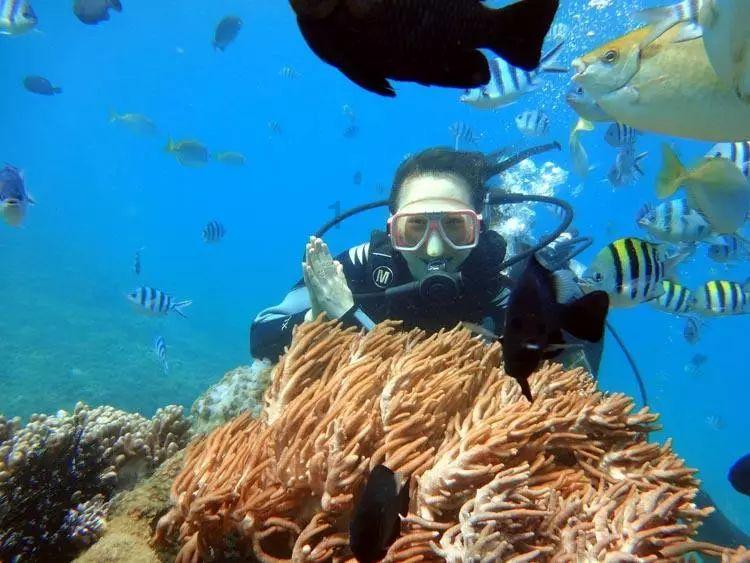 海底寻宝逃脱2